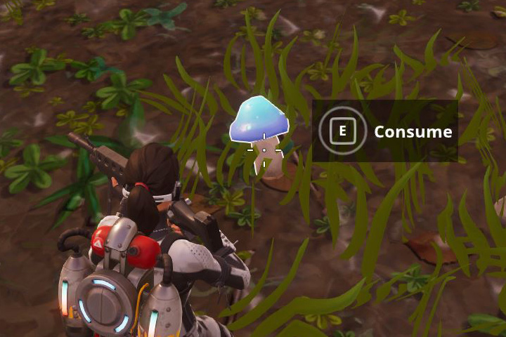 Fortnite : Manger 5 champignons, défi semaine 9